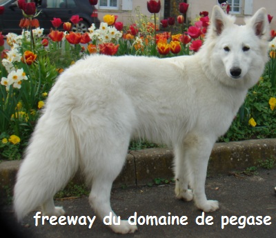 Freeway du domaine de pegase